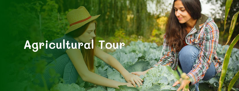 Agricultural Tour